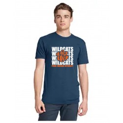 Next Level Men's Triblend Crew