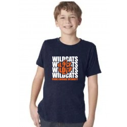 Next Level Youth Triblend Crew